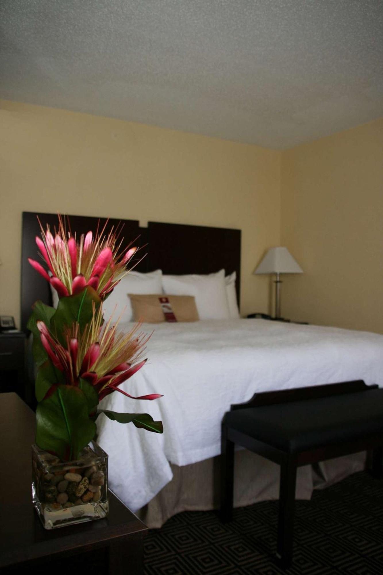 Hampton Inn & Suites Orlando-John Young Parkway/South Park Williamsburg Extérieur photo